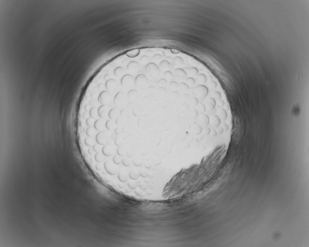 X0000116571046201001211239