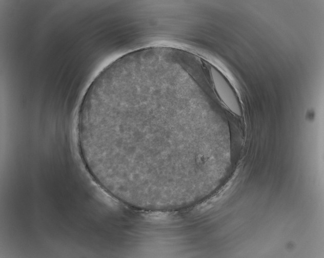 X0000116571048201001211239