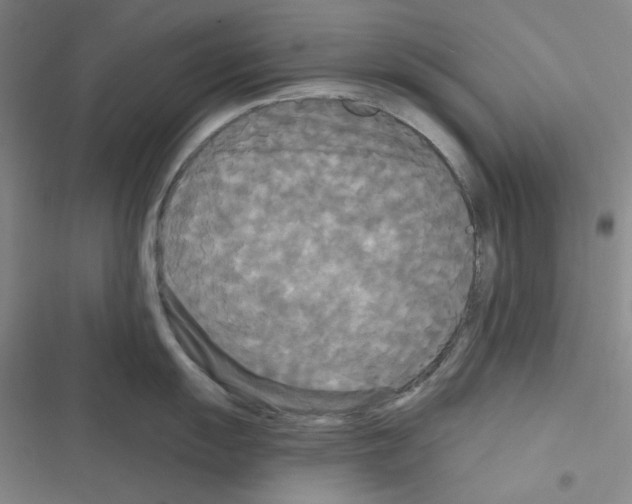 X0000116571055201001211240