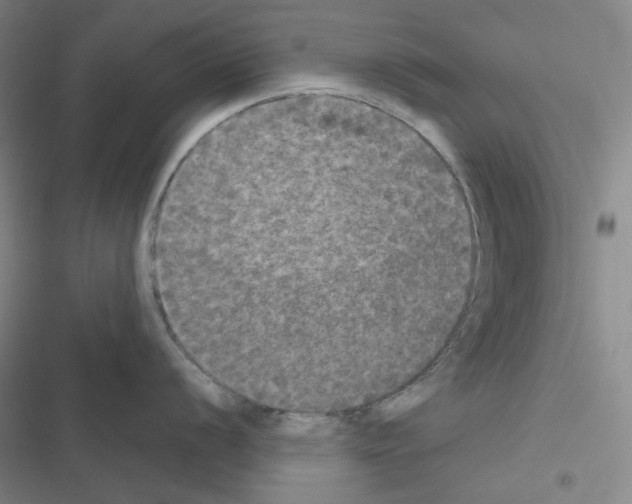 X0000116571056201001211240