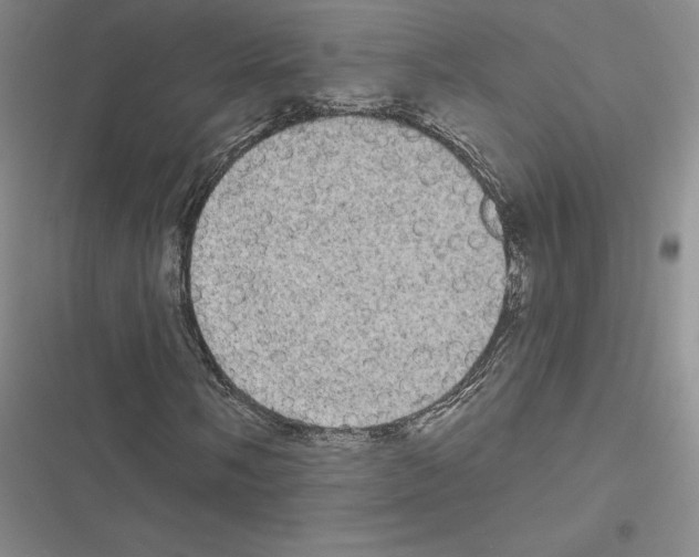 X0000116571058201001211239