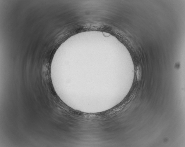 X0000116571059201001211239