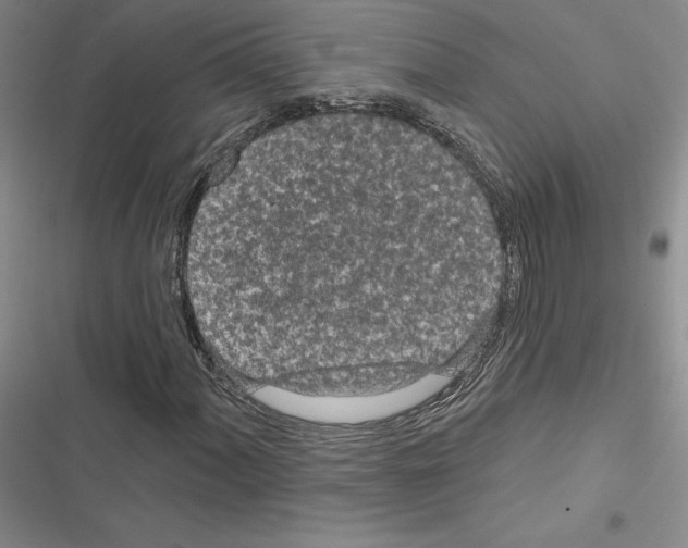 X0000116571060201001211239