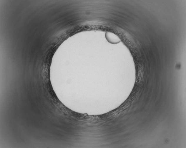 X0000116571062201001211239