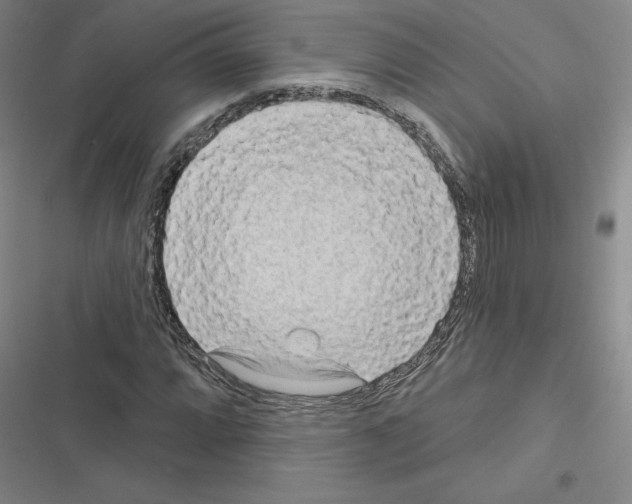 X0000116571064201001211239