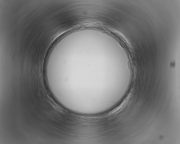 X0000116571065201001211239