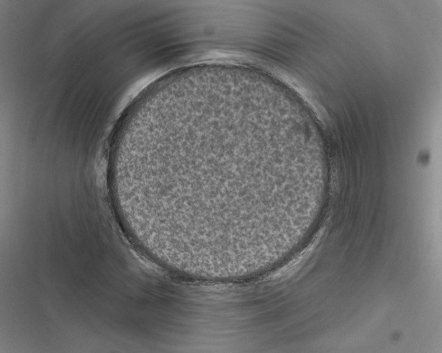 X0000116571066201001211239