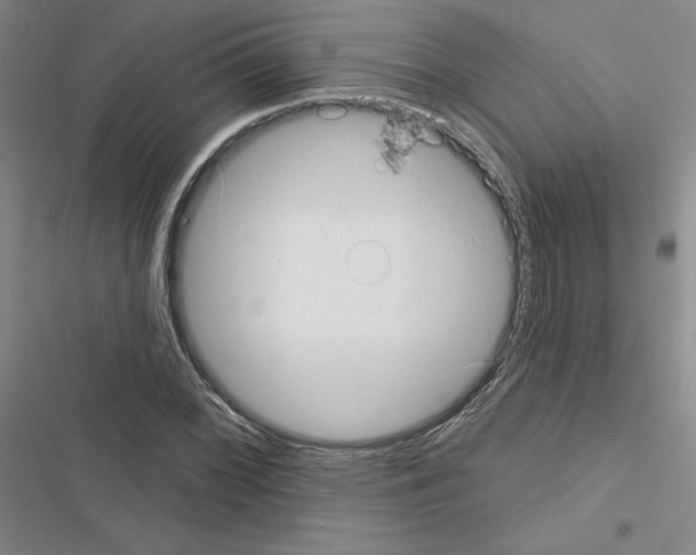 X0000116571068201001211239