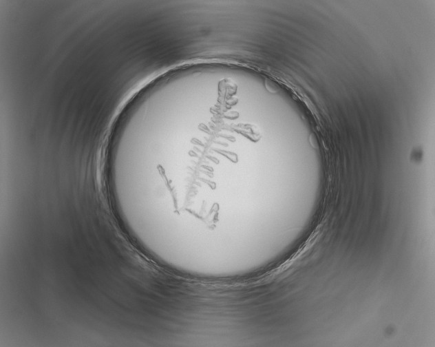 X0000116571069201001211239