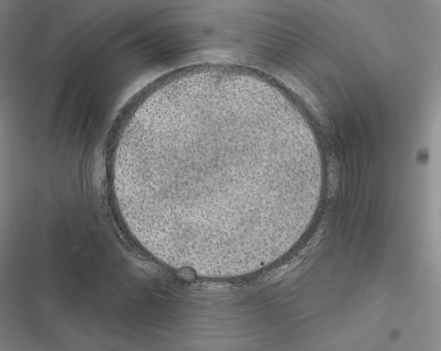 X0000116571070201001211239