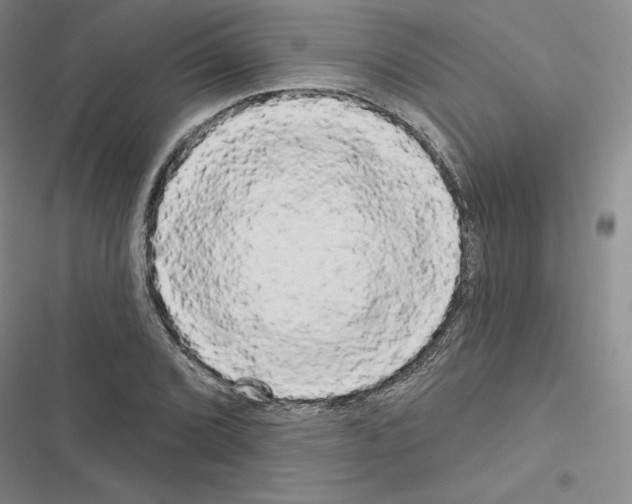 X0000116571072201001211239