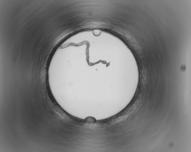 X0000116571073201001211239