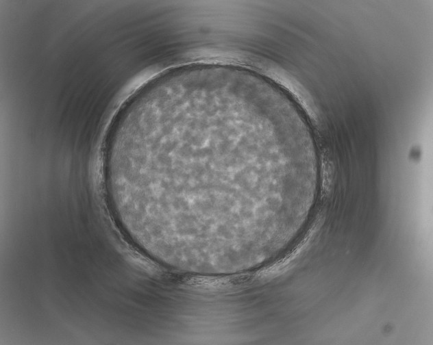 X0000116571074201001211239