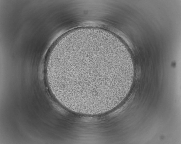 X0000116571075201001211239