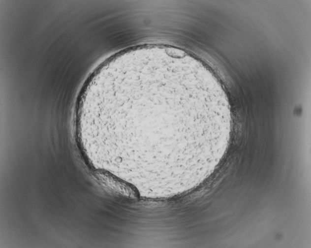 X0000116571076201001211239