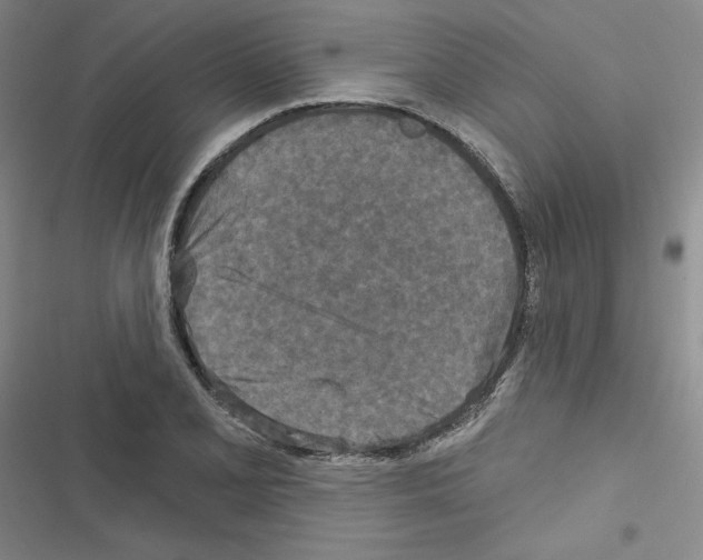 X0000116571077201001211239