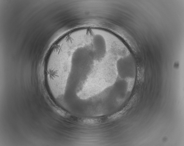 X0000116571078201001211239