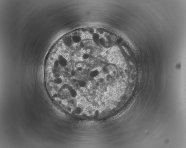 X0000116571079201001211239