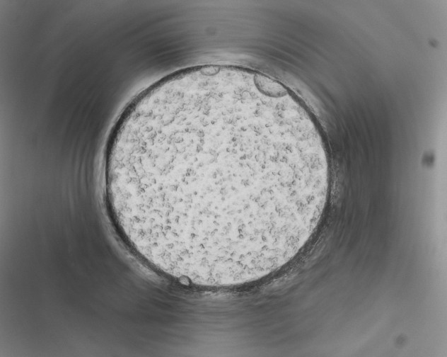 X0000116571080201001211239