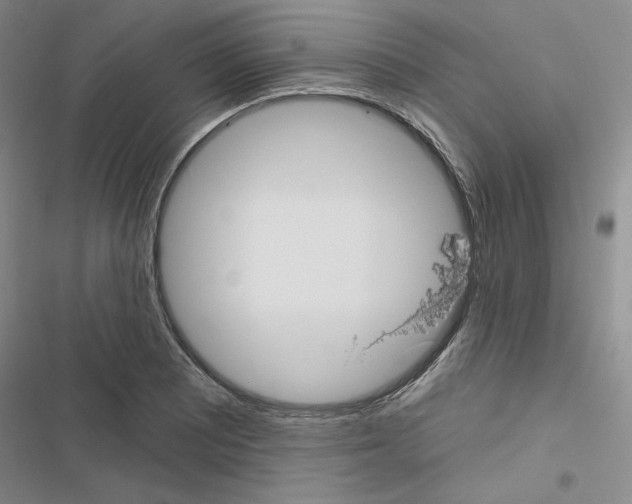 X0000116571081201001211239