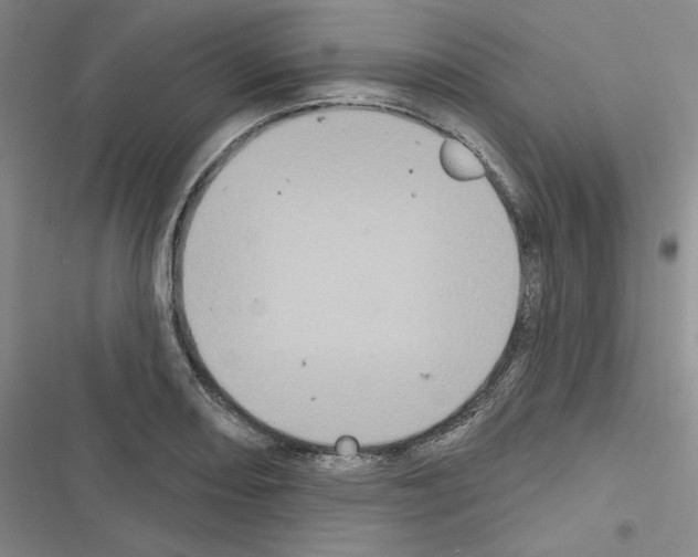 X0000116571082201001211239