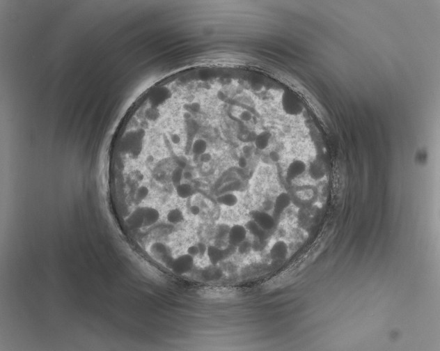 X0000116571083201001211239