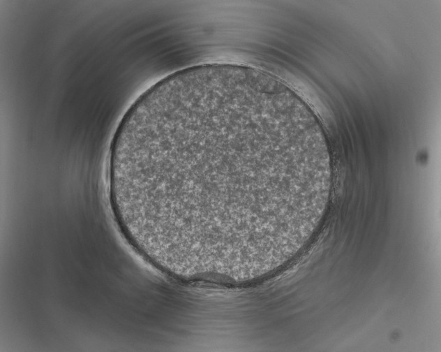 X0000116571084201001211238