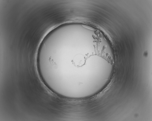 X0000116571085201001211238