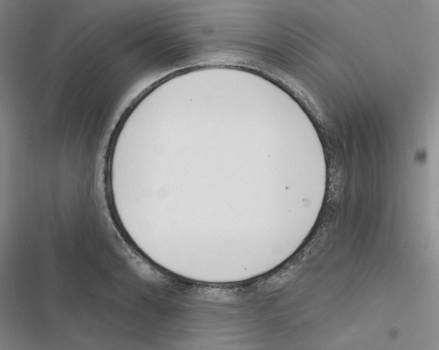 X0000116571086201001211238