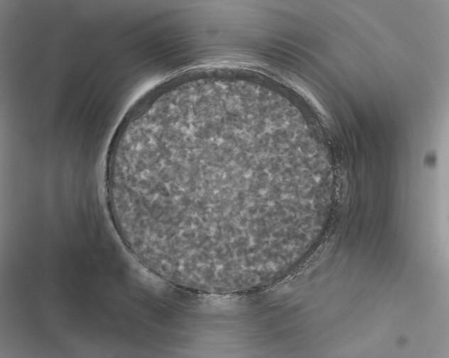 X0000116571087201001211238