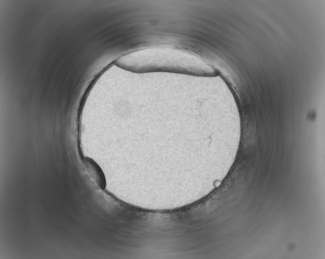 X0000116571088201001211238