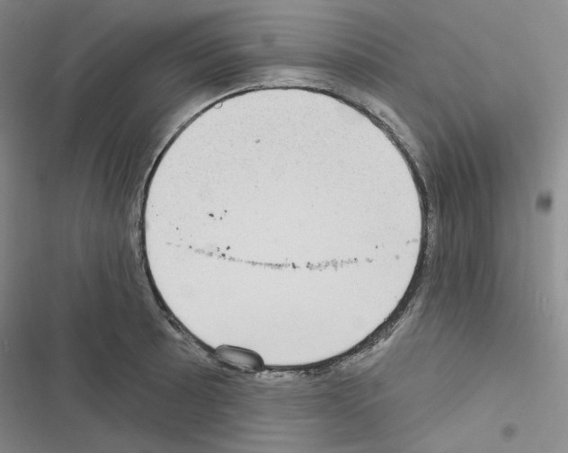 X0000116571089201001211238