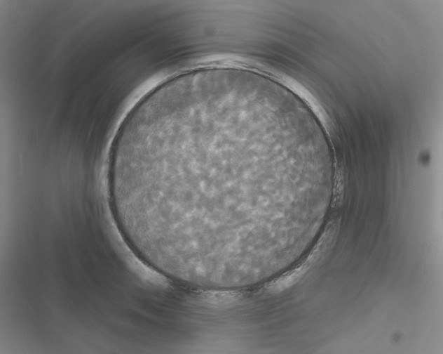 X0000116571090201001211238