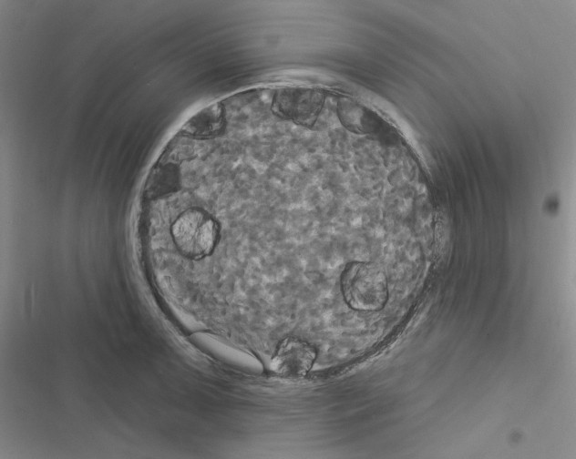 X0000116571091201001211238