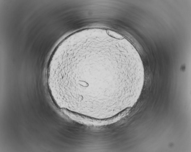 X0000116571092201001211238