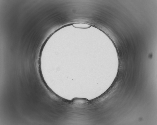 X0000116571093201001211238