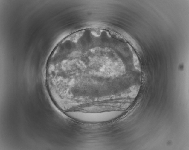 X0000116571095201001211238