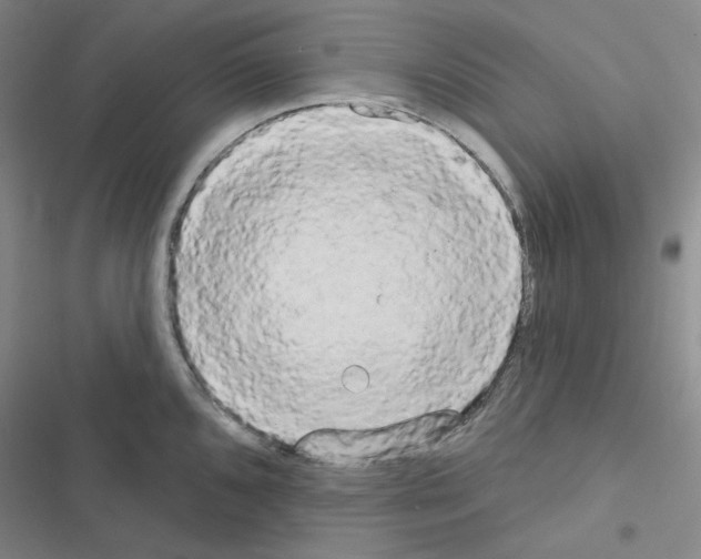 X0000116571096201001211238