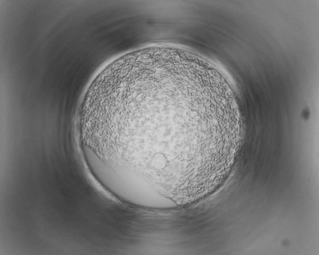 X0000116571100201001211238