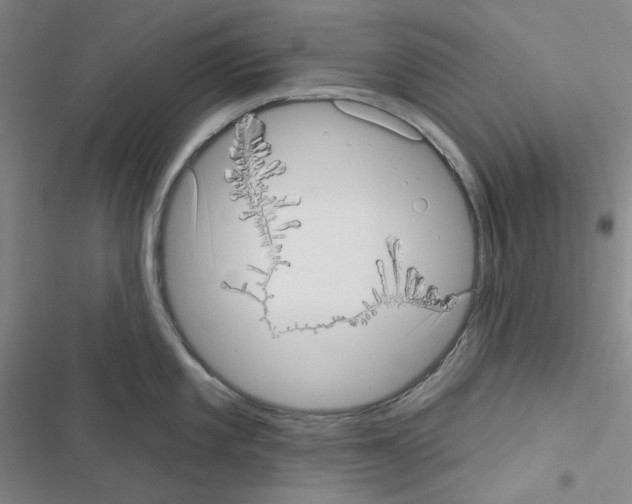 X0000116571101201001211238