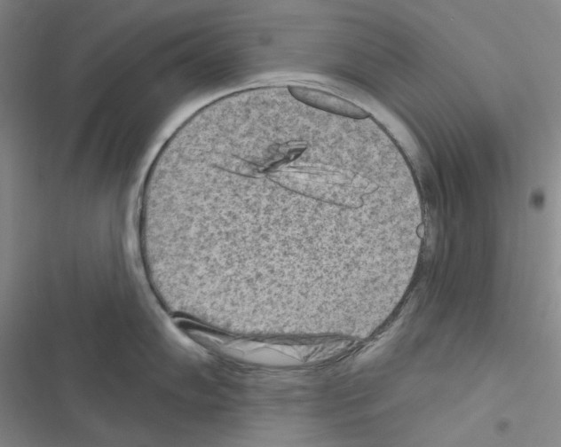 X0000116571102201001211238