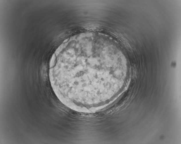 X0000116571106201001211238