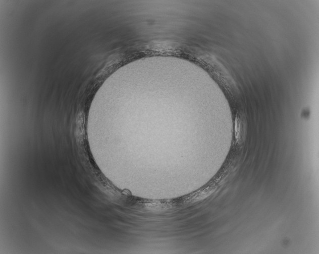 X0000116571107201001211238