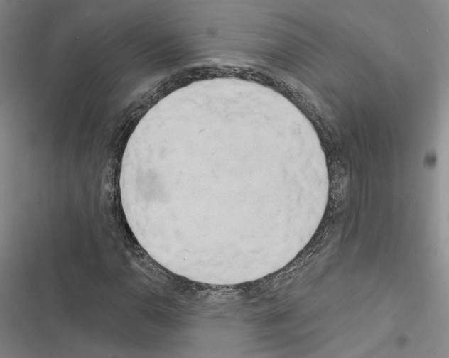 X0000116571110201001211238