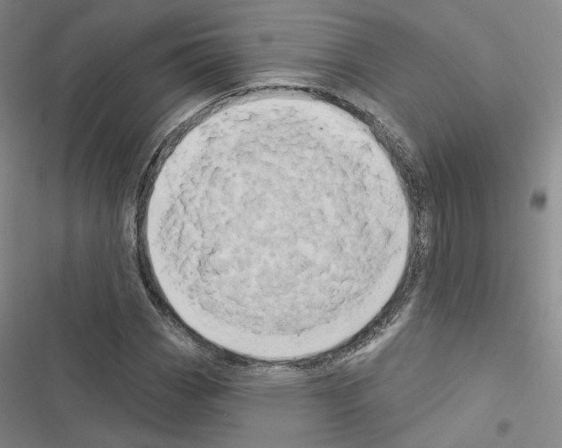 X0000116571113201001211238