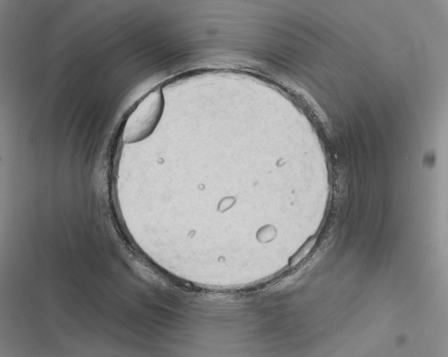 X0000116571114201001211238