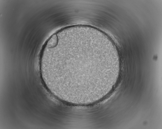 X0000116571118201001211238