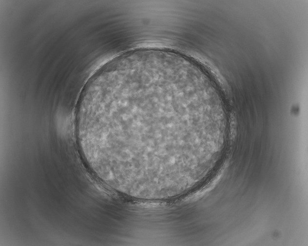 X0000116571121201001211238