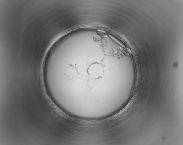 X0000116571122201001211238