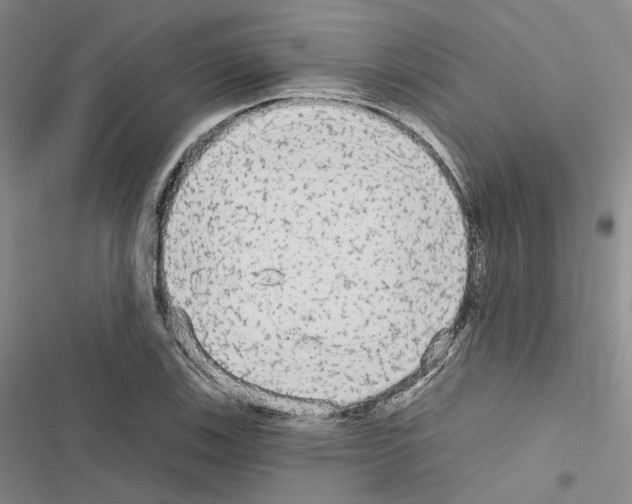 X0000116571123201001211238